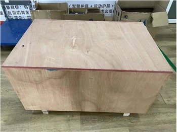 Bullet Resistant Riot Shield